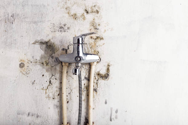 Best Mold Testing  in Henderson, LA