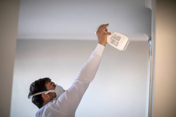 Best Toxic Mold Removal  in Henderson, LA