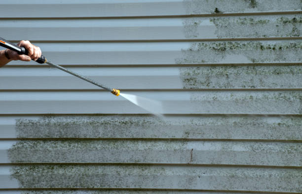 Attic Mold Removal in Henderson, LA